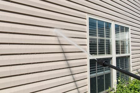 Mold vs. Mildew: What's The Difference?